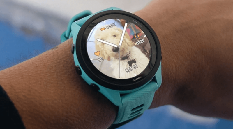 Jak spersonalizować tarczę zegarka Garmin?