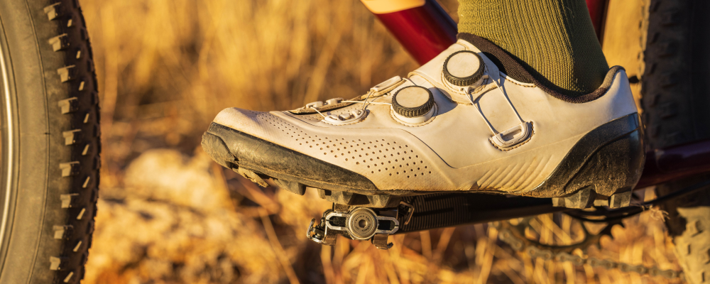 Garmin Rally 110 i 210