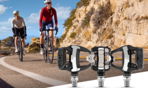 Garmin Rally 110 i 210