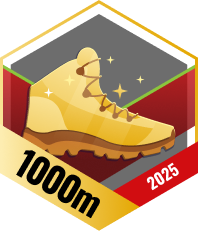 Wyzwania i odznaki na grudzień