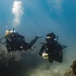 Komputer nurkowy Garmin