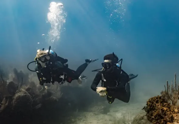 Komputer nurkowy Garmin