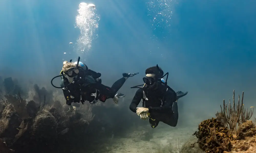 Komputer nurkowy Garmin