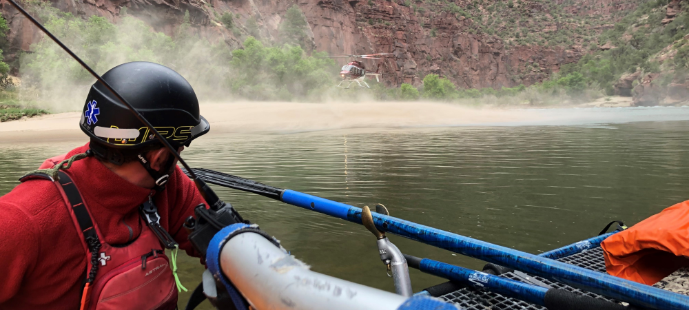 Jak działa Garmin Response?